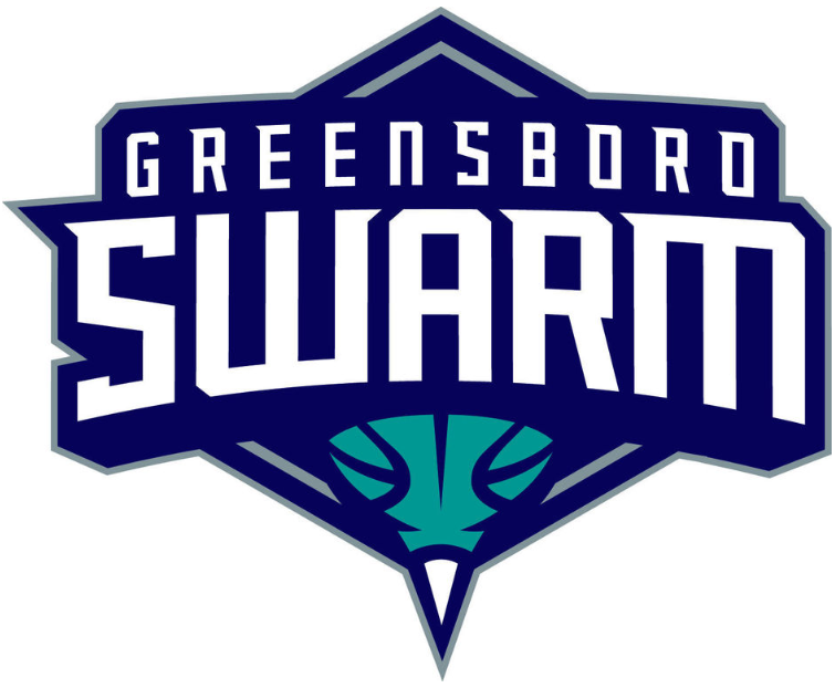 Greensboro Swarm 2016-Pres Primary Logo iron on transfers for T-shirts